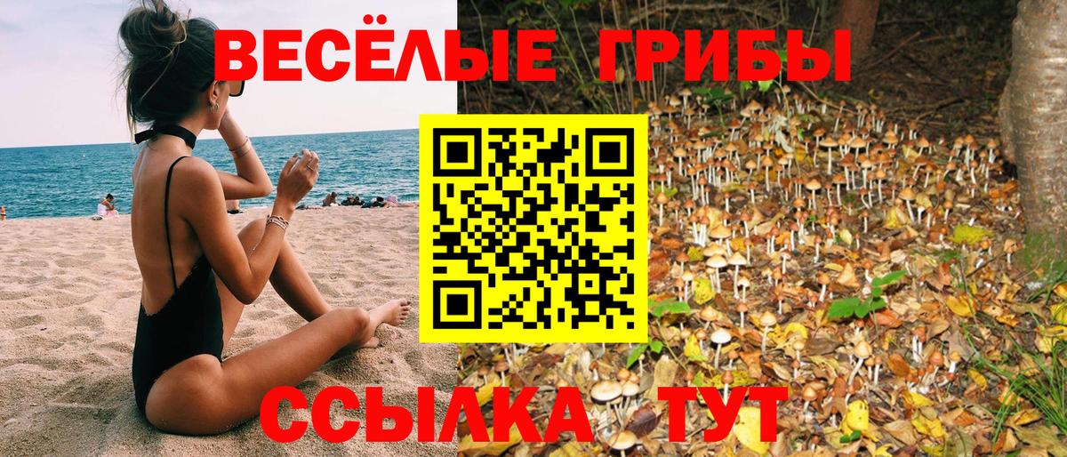 Галлюциногенные грибы GOLDEN TEACHER Славянск-на-Кубани