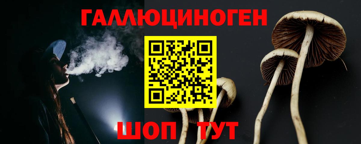 Галлюциногенные грибы GOLDEN TEACHER  Вход с VPN  Славянск-на-Кубани 
